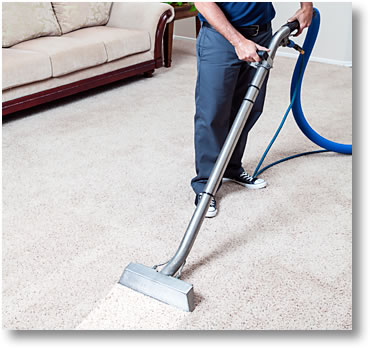 McCulloch Deluxe Canister Multi-Floor Steam Cleaner System w/ Carpet Cleaner  - Walmart.com